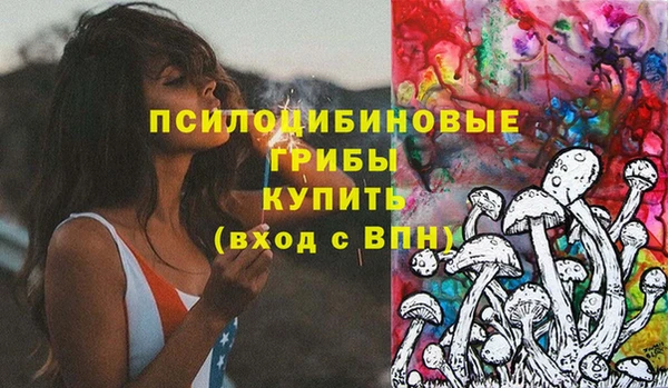 стаф Покачи