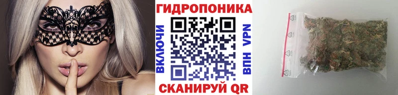 Канабис SATIVA & INDICA Обоянь